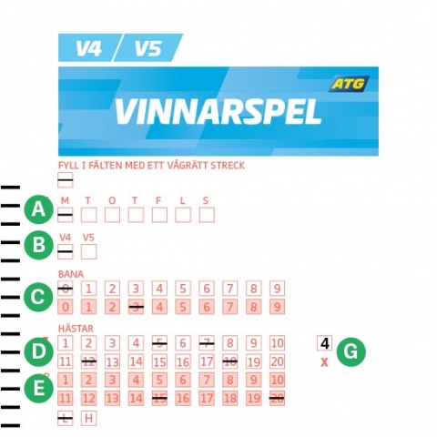 V4-kupong